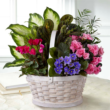 Peaceful Garden Planter –  Maison Blooms, Wesley Chapel FL