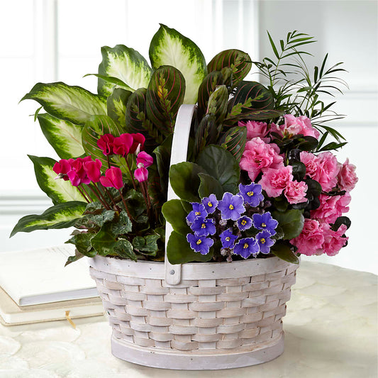Peaceful Garden Planter –  Maison Blooms, Wesley Chapel FL