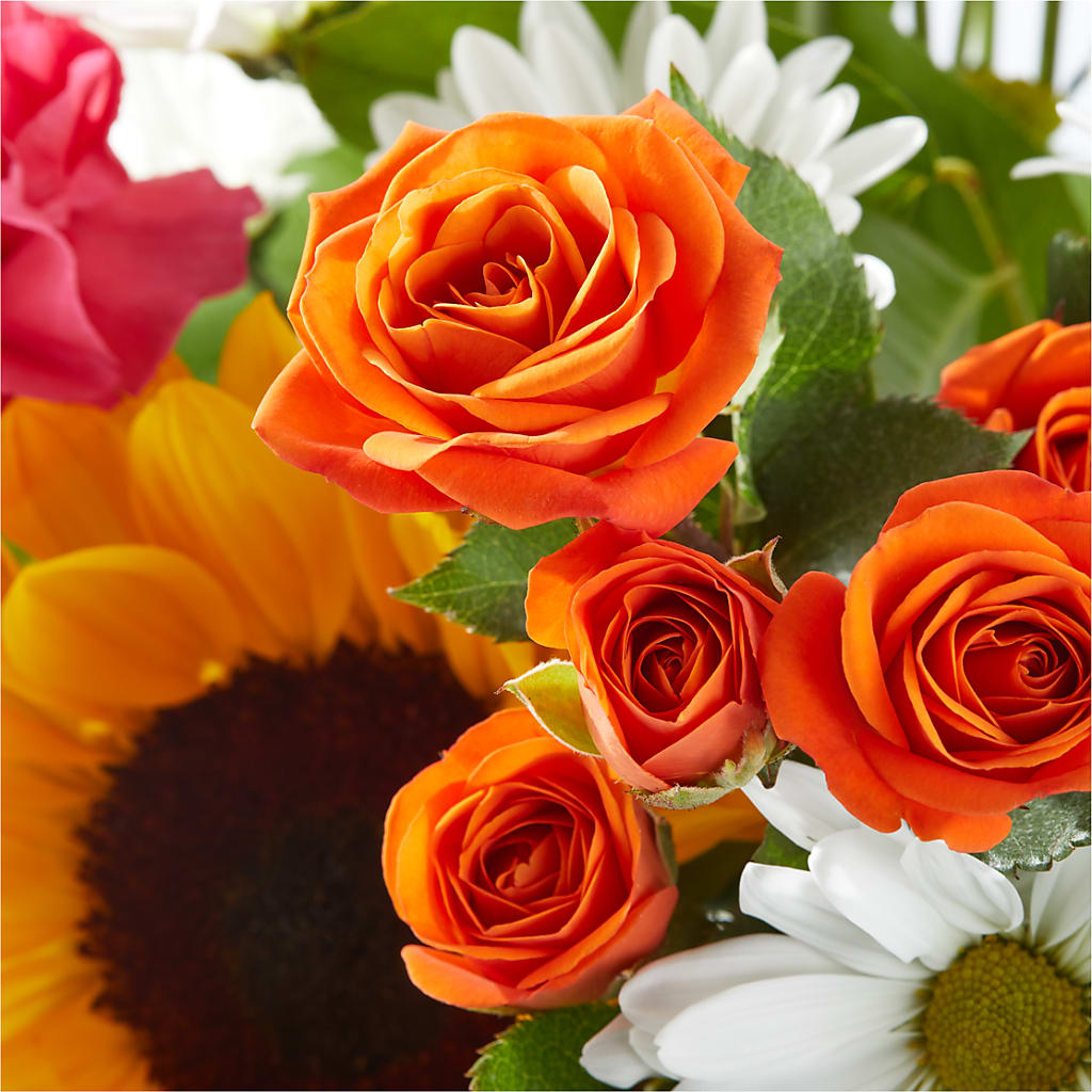 Sun-drenched Blooms Bouquet –  Maison Blooms, Wesley Chapel FL
