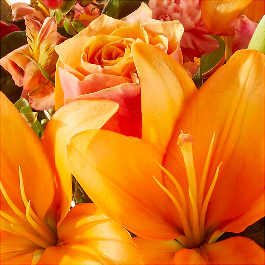 Afternoon Light Bouquet –  Maison Blooms, Wesley Chapel FL