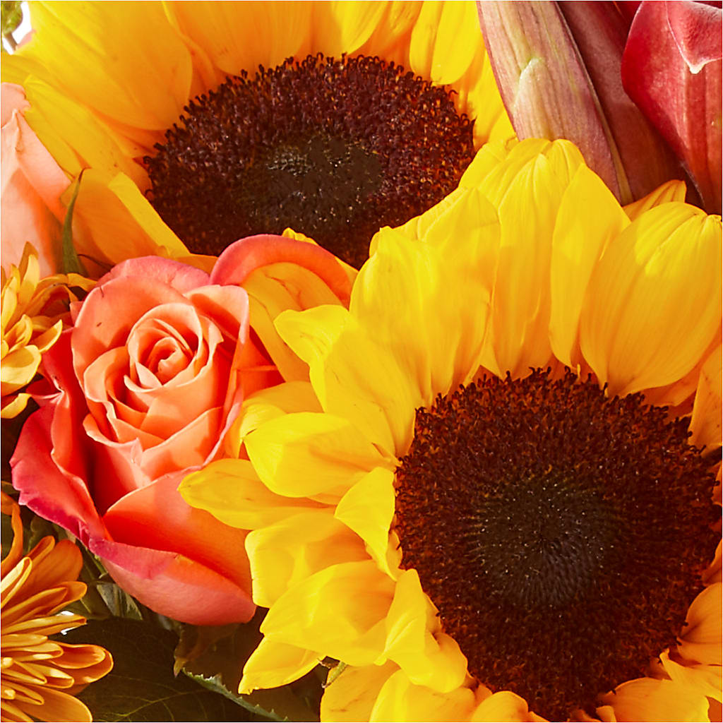 Acorn Lane Bouquet –  Maison Blooms, Wesley Chapel FL