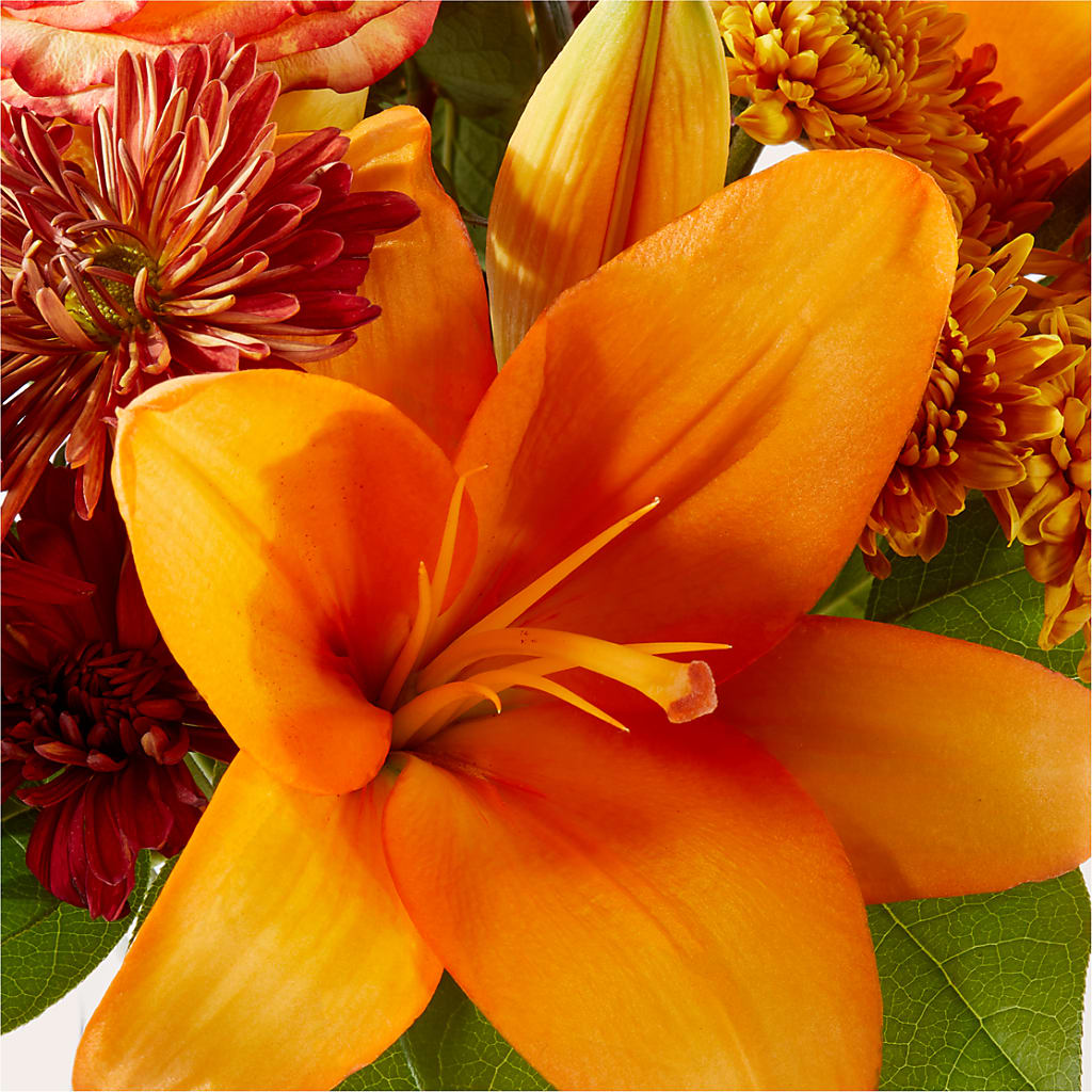 Autumnal Aroma Bouquet –  Maison Blooms, Wesley Chapel FL