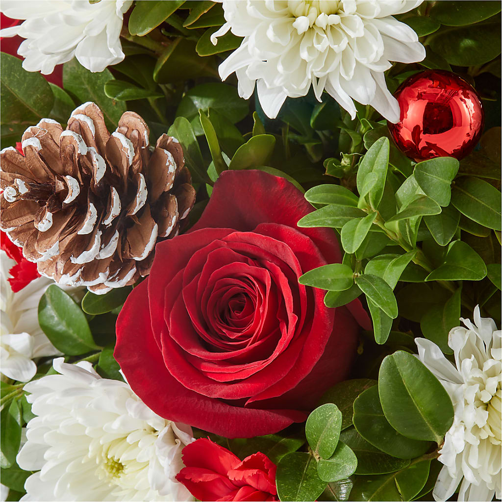 Let It Snow Tree –  Maison Blooms, Wesley Chapel FL