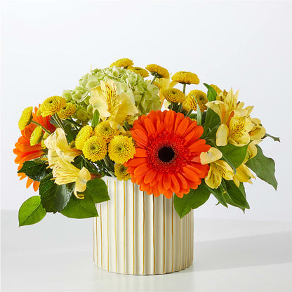 Autumn Sunshine Bouquet with Ivory Vase –  Maison Blooms, Wesley Chapel FL