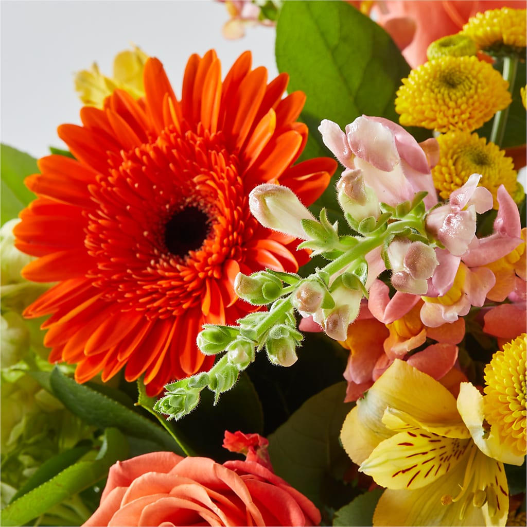 Autumn Sunshine Bouquet –  Maison Blooms, Wesley Chapel FL