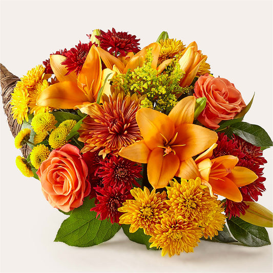Feast of Color Cornucopia –  Maison Blooms, Wesley Chapel FL