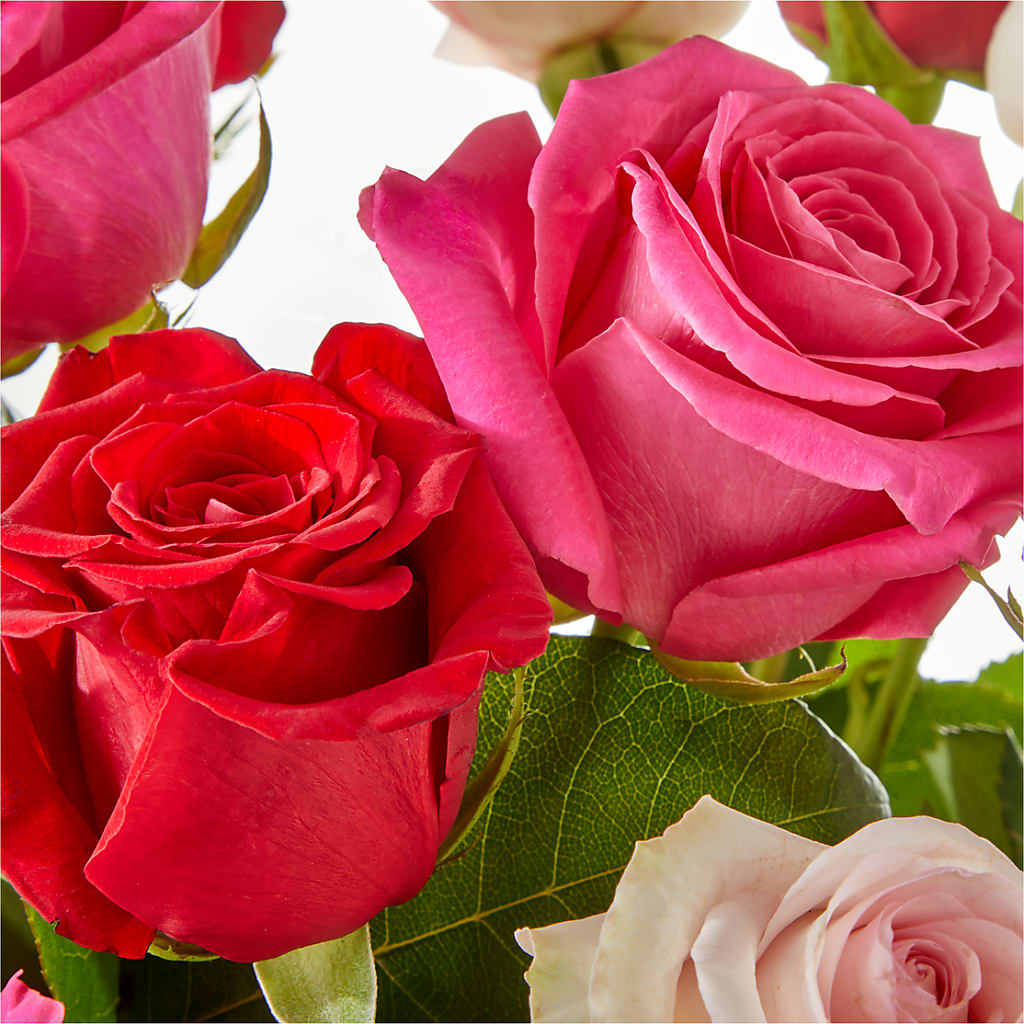 Charming Rose Bouquet –  Maison Blooms, Wesley Chapel FL