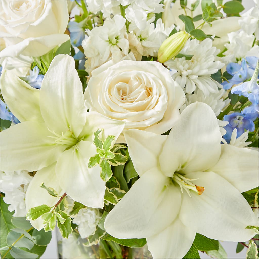Peace of Mind Bouquet –  Maison Blooms, Wesley Chapel FL