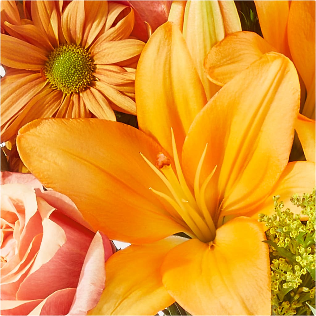 Harvest Hayride Bouquet –  Maison Blooms, Wesley Chapel FL