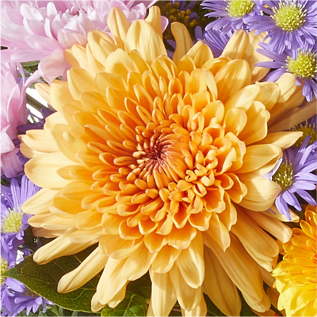 Countryside Bouquet –  Maison Blooms, Wesley Chapel FL