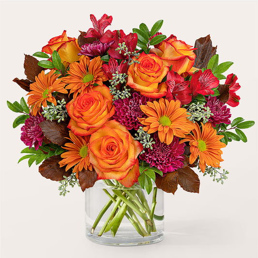 Brisk Morning Bouquet –  Maison Blooms, Wesley Chapel FL