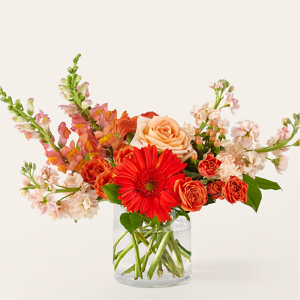 Paloma Please Bouquet –  Maison Blooms, Wesley Chapel FL
