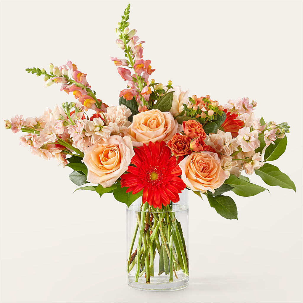 Paloma Please Bouquet –  Maison Blooms, Wesley Chapel FL