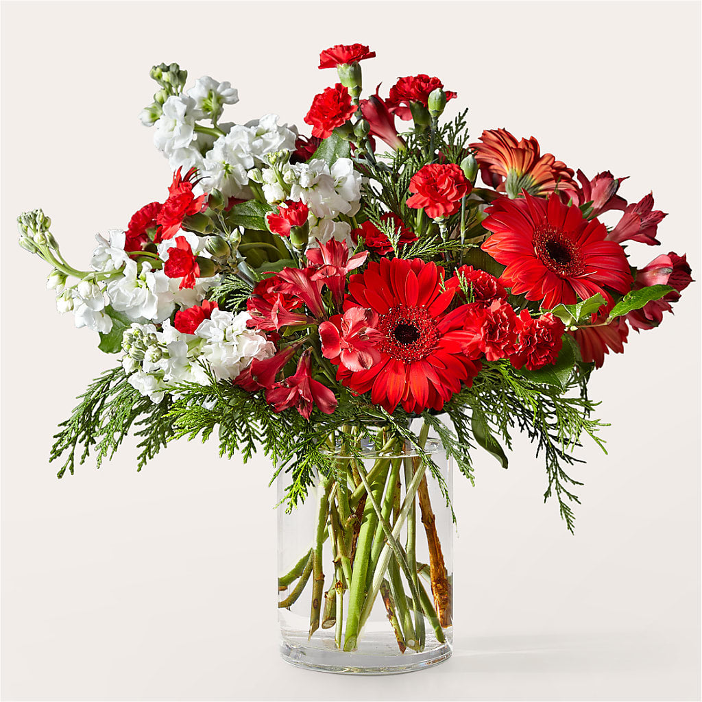 Holidaisy Bouquet –  Maison Blooms, Wesley Chapel FL