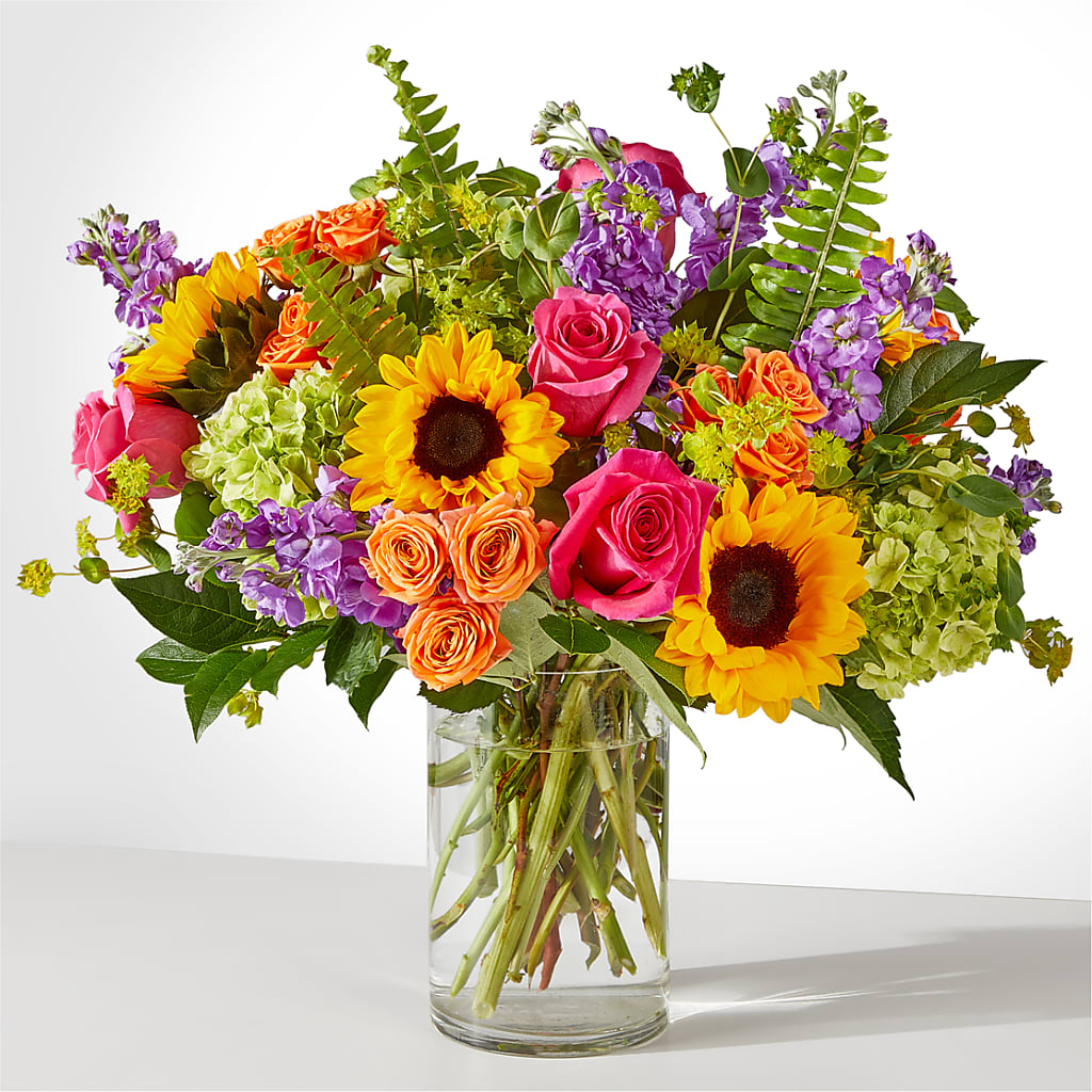 Vibrant Greetings Bouquet –  Maison Blooms, Wesley Chapel FL