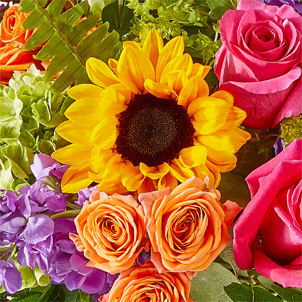 Vibrant Greetings Bouquet –  Maison Blooms, Wesley Chapel FL