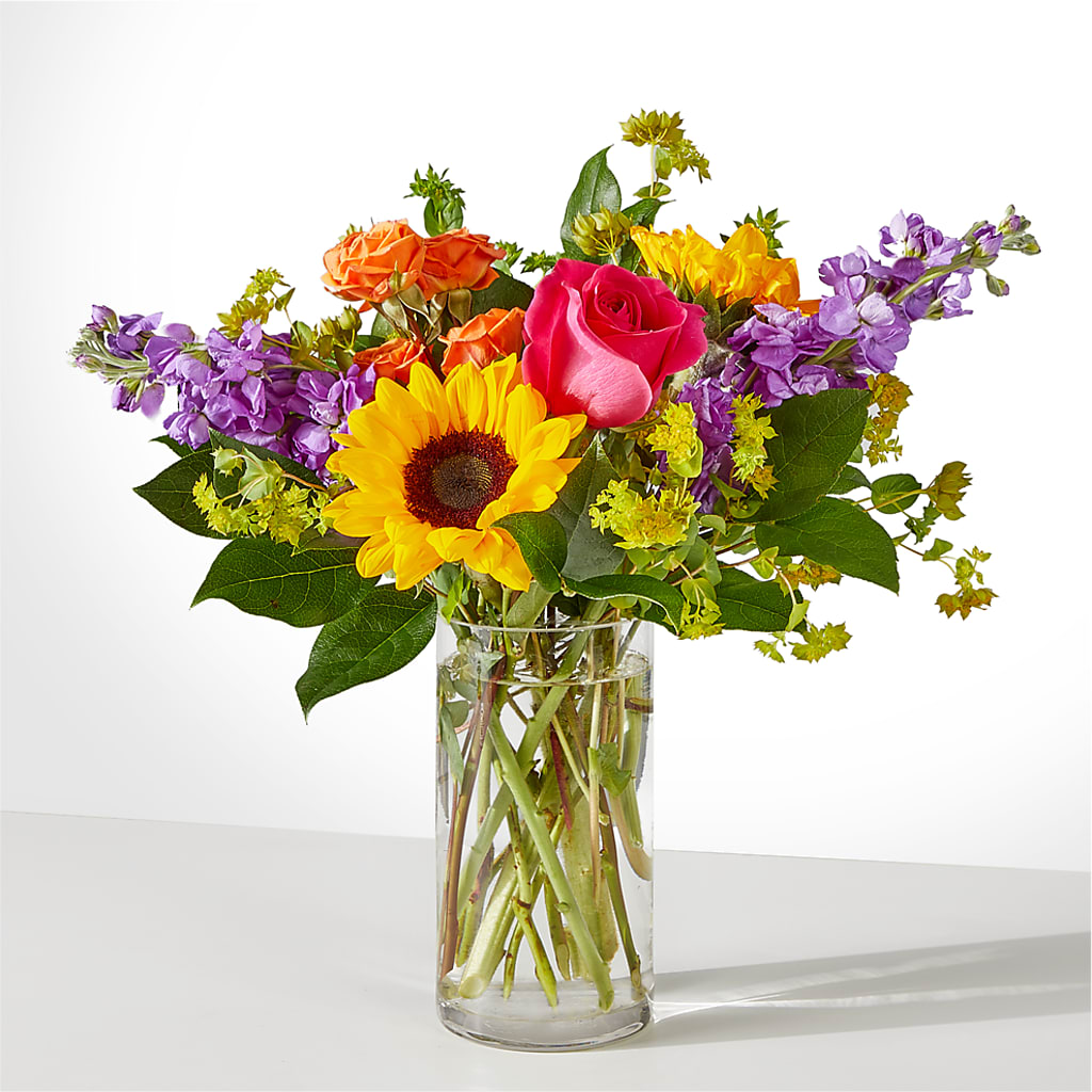 Vibrant Greetings Bouquet –  Maison Blooms, Wesley Chapel FL