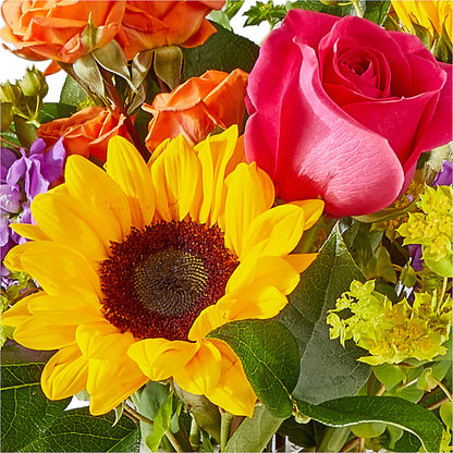 Vibrant Greetings Bouquet –  Maison Blooms, Wesley Chapel FL