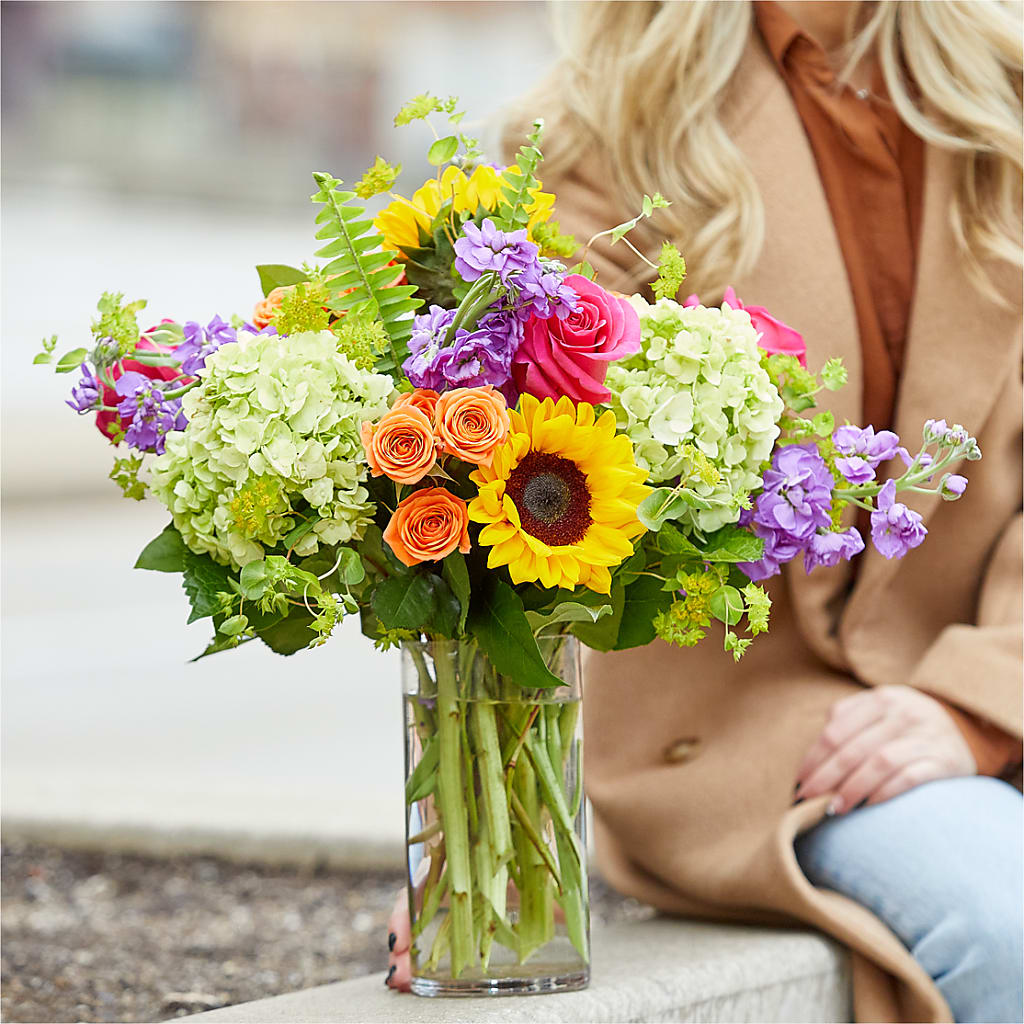 Vibrant Greetings Bouquet –  Maison Blooms, Wesley Chapel FL