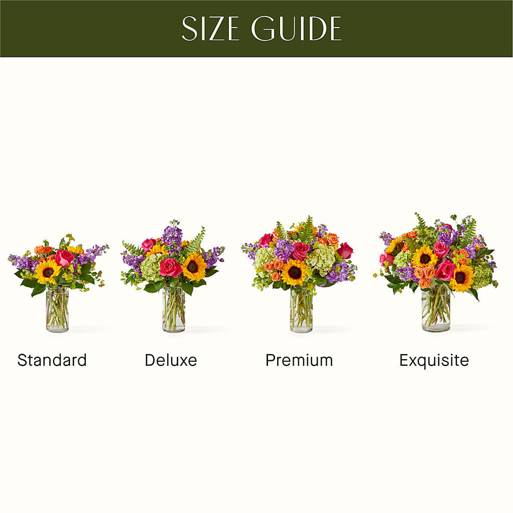 Vibrant Greetings Bouquet –  Maison Blooms, Wesley Chapel FL