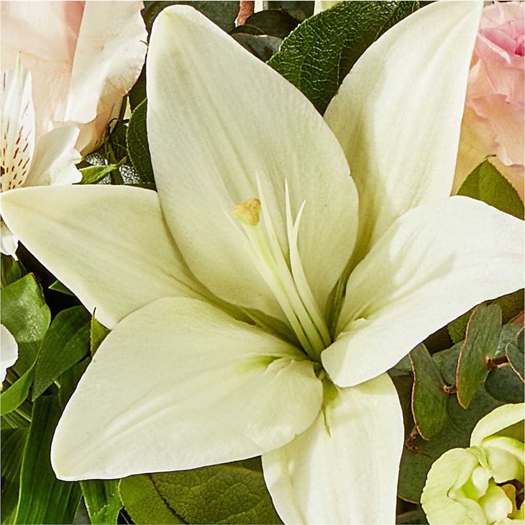 Ballet Slippers Bouquet –  Maison Blooms, Wesley Chapel FL
