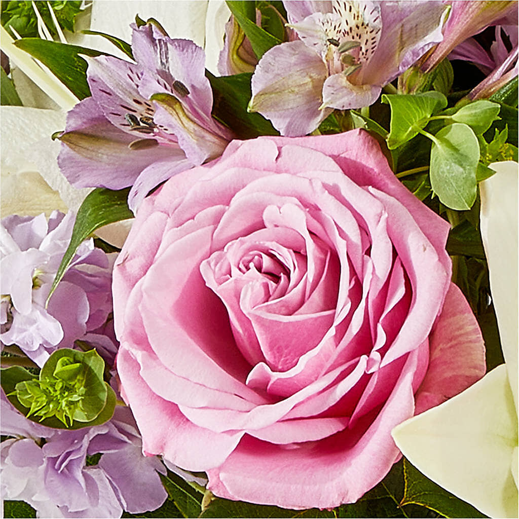 Daydreamer Bouquet –  Maison Blooms, Wesley Chapel FL