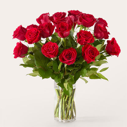 The One Red Rose Bouquet –  Maison Blooms, Wesley Chapel FL