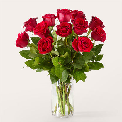 The One Red Rose Bouquet –  Maison Blooms, Wesley Chapel FL