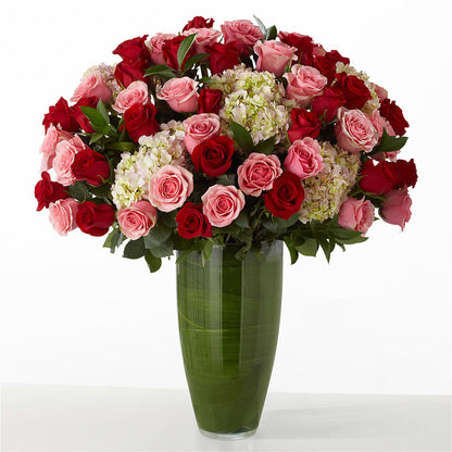 The Allure –  Maison Blooms, Wesley Chapel FL