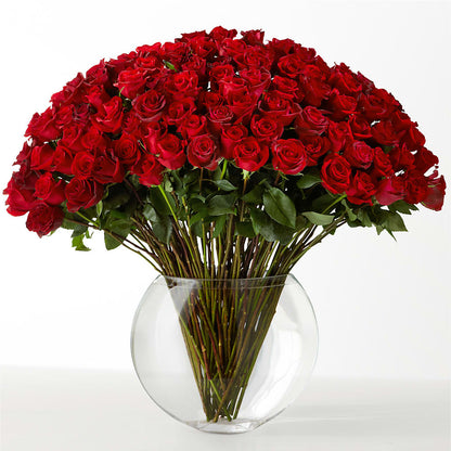 The Idealist –  Maison Blooms, Wesley Chapel FL