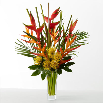 The Drama –  Maison Blooms, Wesley Chapel FL