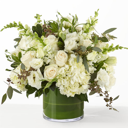 The Gallery –  Maison Blooms, Wesley Chapel FL