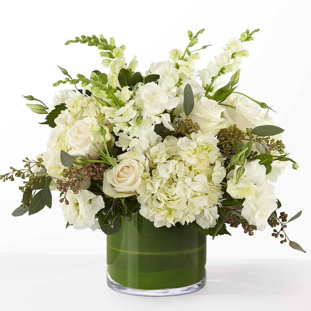 The Gallery –  Maison Blooms, Wesley Chapel FL