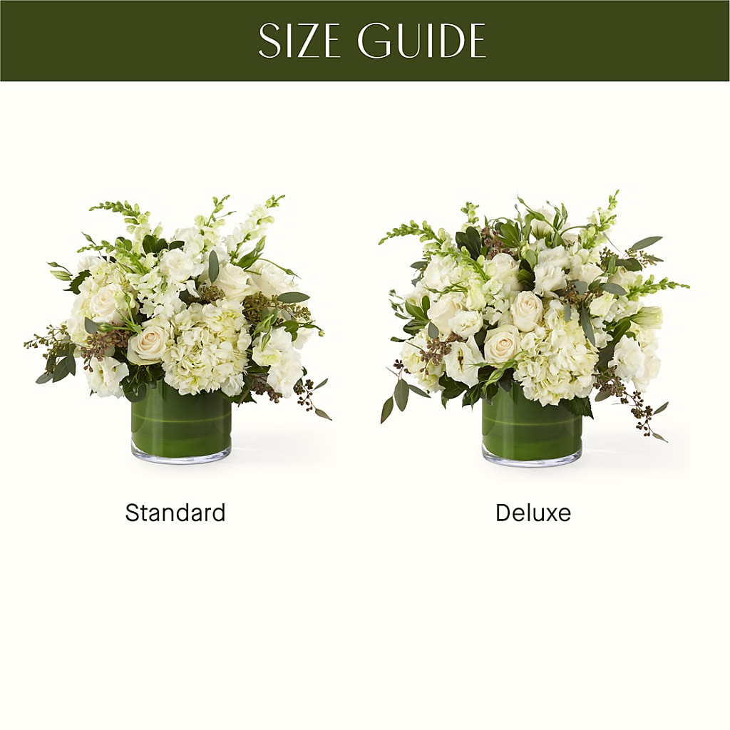 The Gallery –  Maison Blooms, Wesley Chapel FL