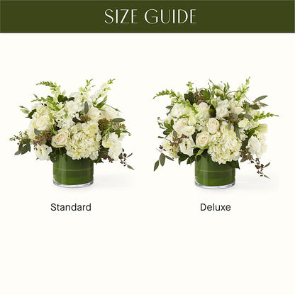 The Gallery –  Maison Blooms, Wesley Chapel FL