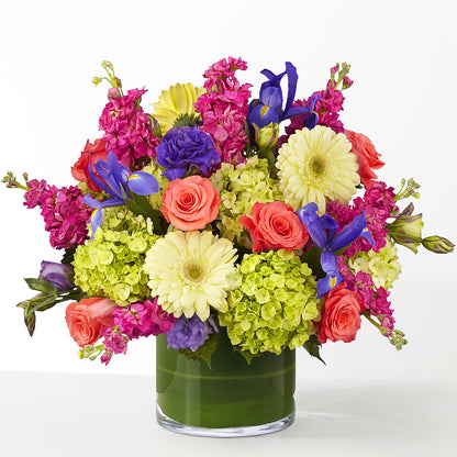 The Couture –  Maison Blooms, Wesley Chapel FL