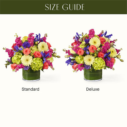 The Couture –  Maison Blooms, Wesley Chapel FL