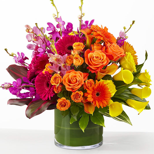 The Mosaic –  Maison Blooms, Wesley Chapel FL