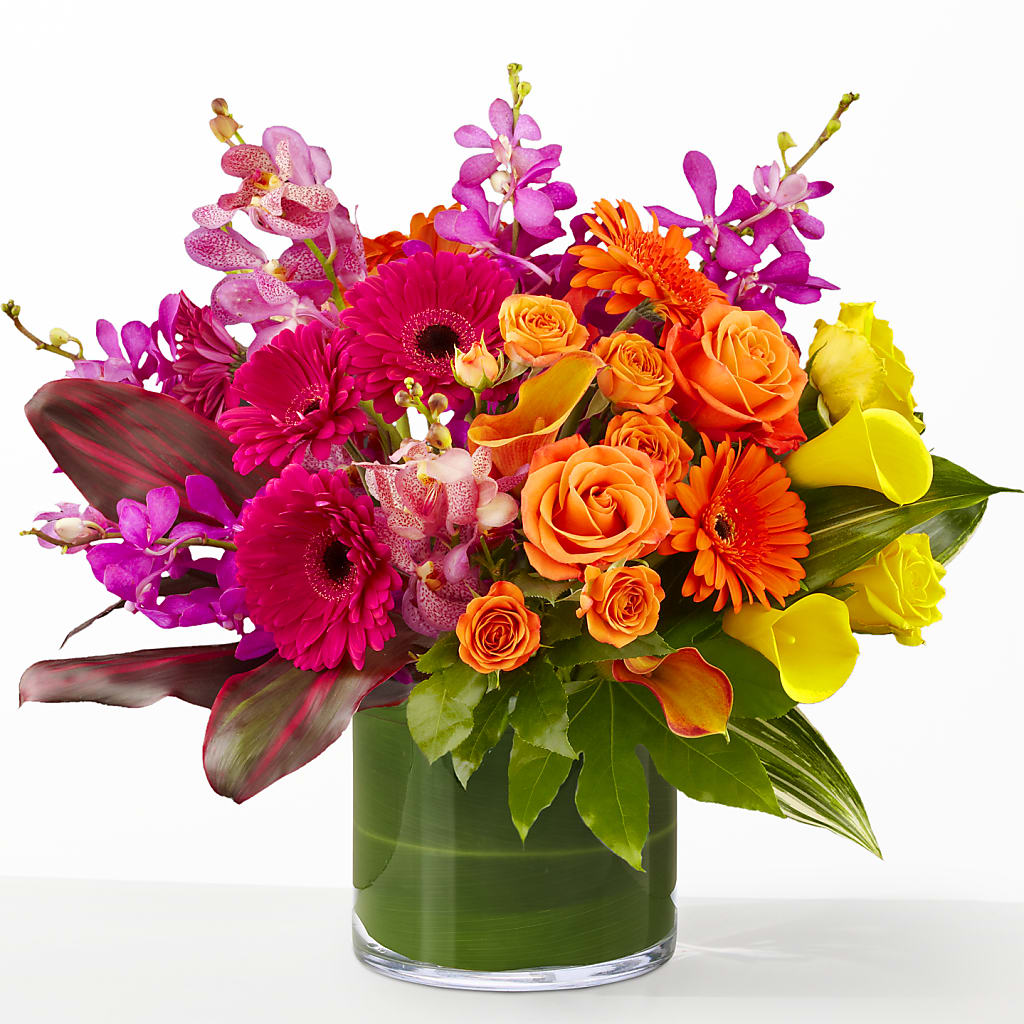 The Mosaic –  Maison Blooms, Wesley Chapel FL
