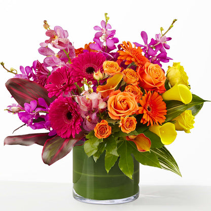 The Mosaic –  Maison Blooms, Wesley Chapel FL