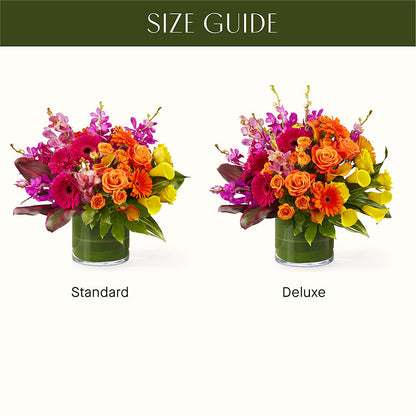 The Mosaic –  Maison Blooms, Wesley Chapel FL