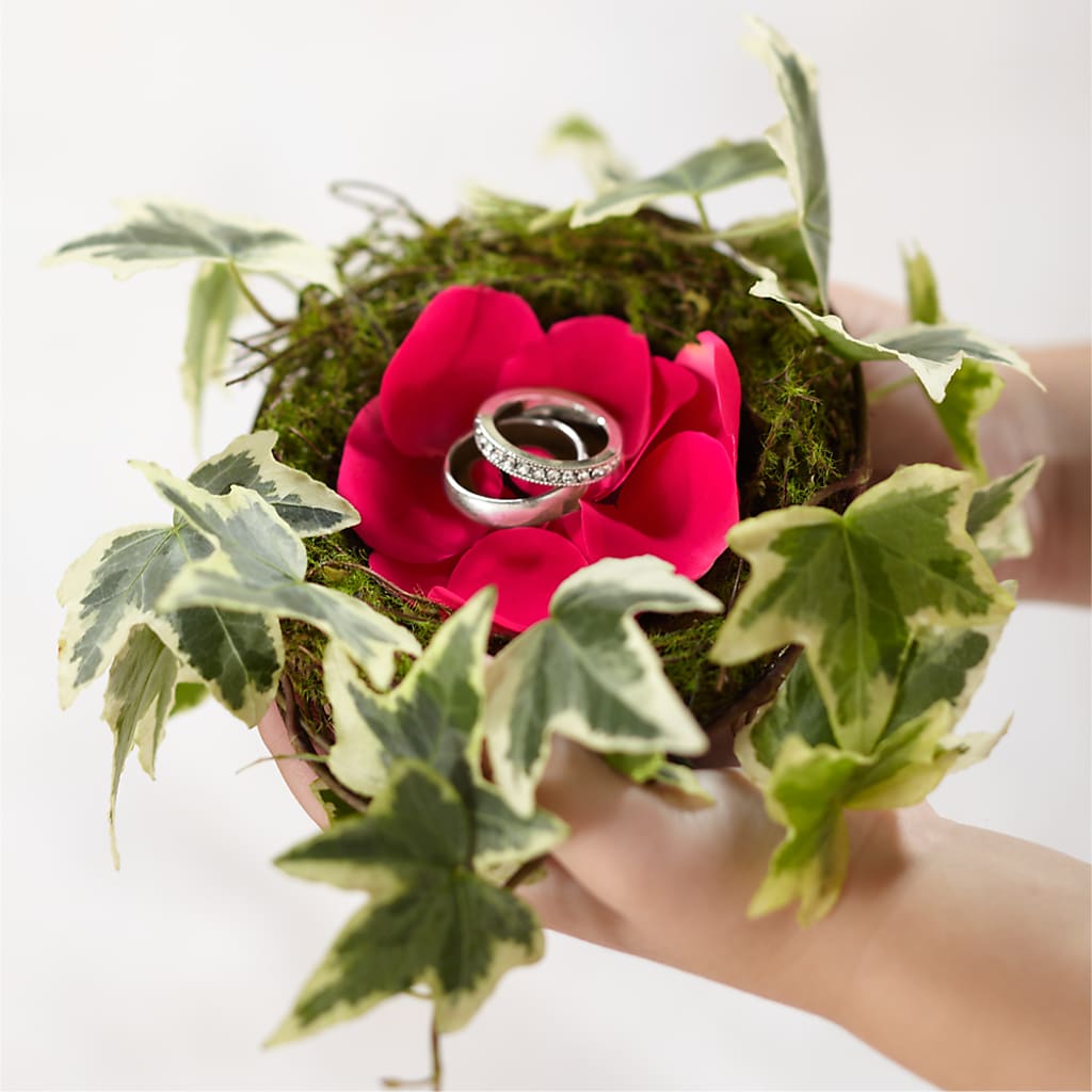 Lila Rose Ring Nest –  Maison Blooms, Wesley Chapel FL