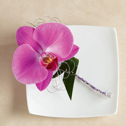 Glorious Boutonniere –  Maison Blooms, Wesley Chapel FL