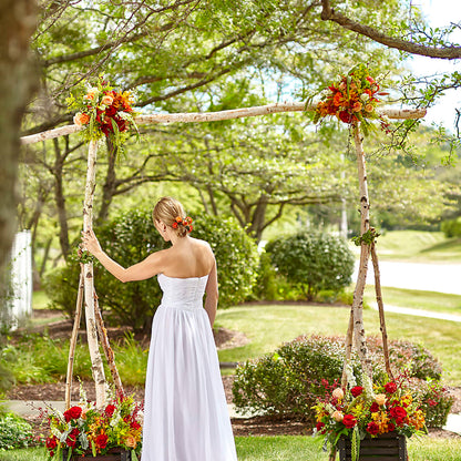Arbor of Love Archway –  Maison Blooms, Wesley Chapel FL