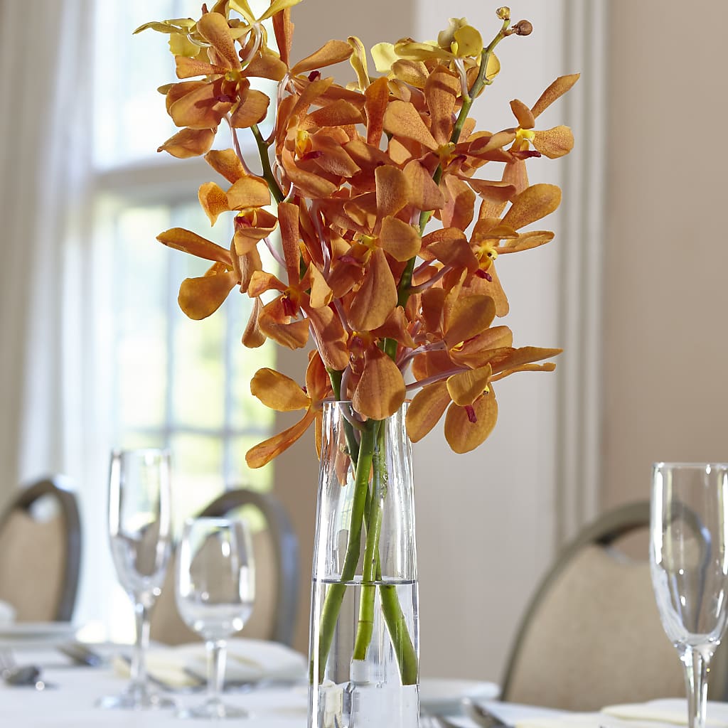 Orange Mokara Bud Vase –  Maison Blooms, Wesley Chapel FL