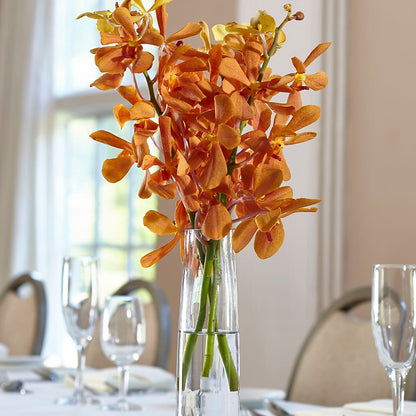 Orange Mokara Bud Vase –  Maison Blooms, Wesley Chapel FL
