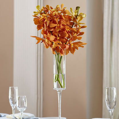 Orange Mokara Bouquet –  Maison Blooms, Wesley Chapel FL