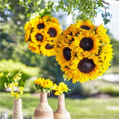 Sublime Garden Hanging Arrangement –  Maison Blooms, Wesley Chapel FL