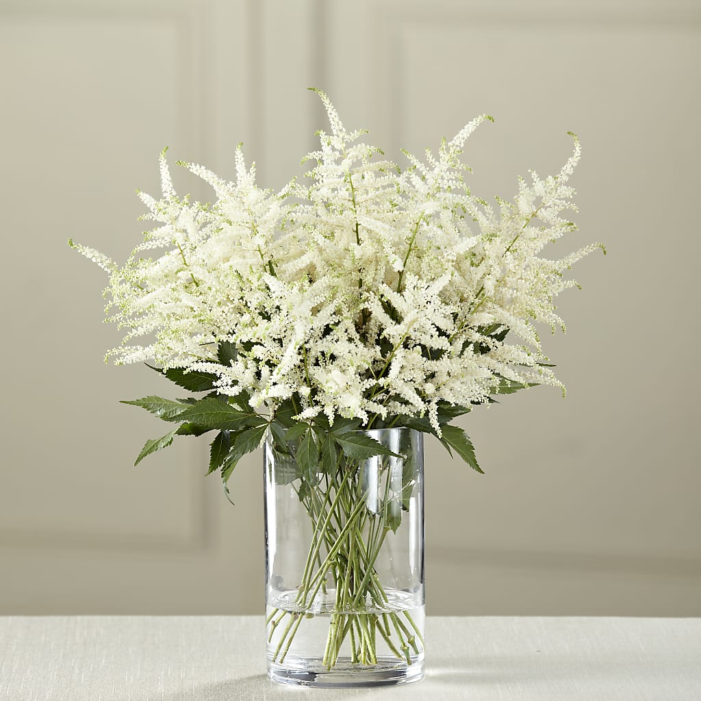 White Astilbe Bouquet –  Maison Blooms, Wesley Chapel FL