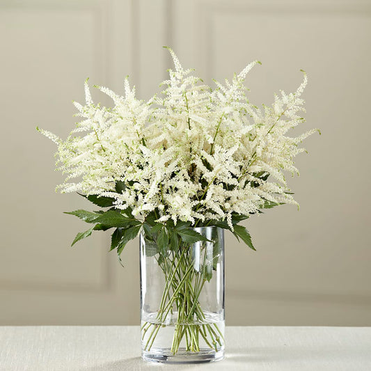 White Astilbe Bouquet –  Maison Blooms, Wesley Chapel FL